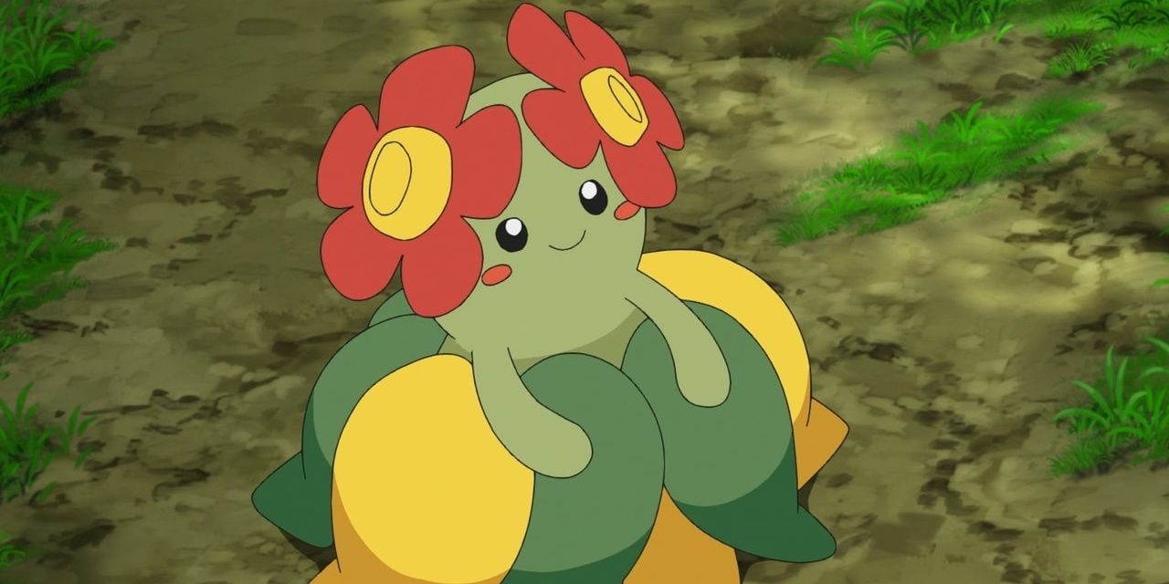 Bellossom. 