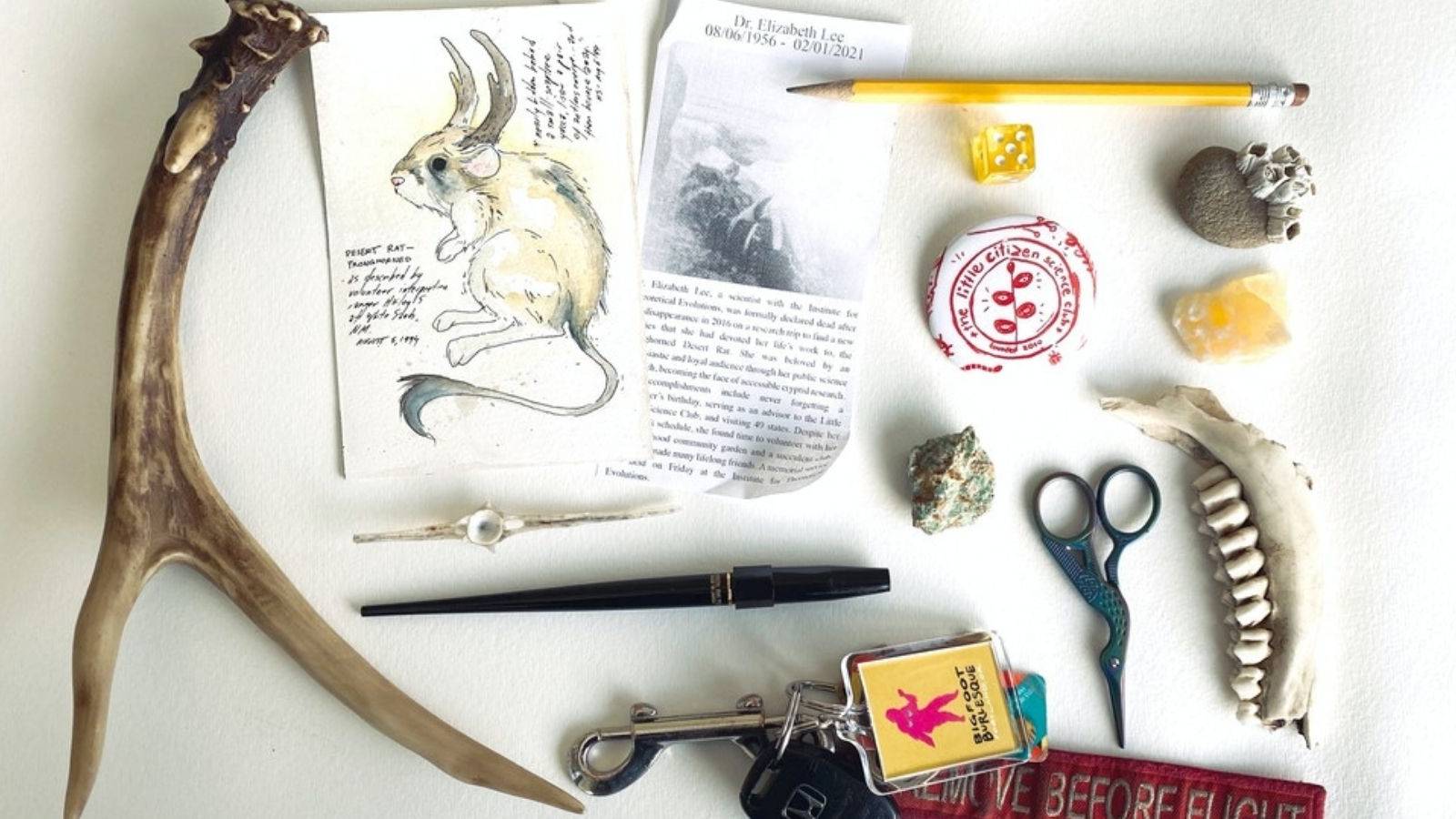 Field Guide To Memory Has You Create Your Own Unique Journal As Part Of ...