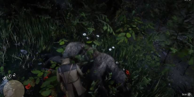 Red Dead Redemption 2: How To Get The Legendary Bear Pelt (& What You ...