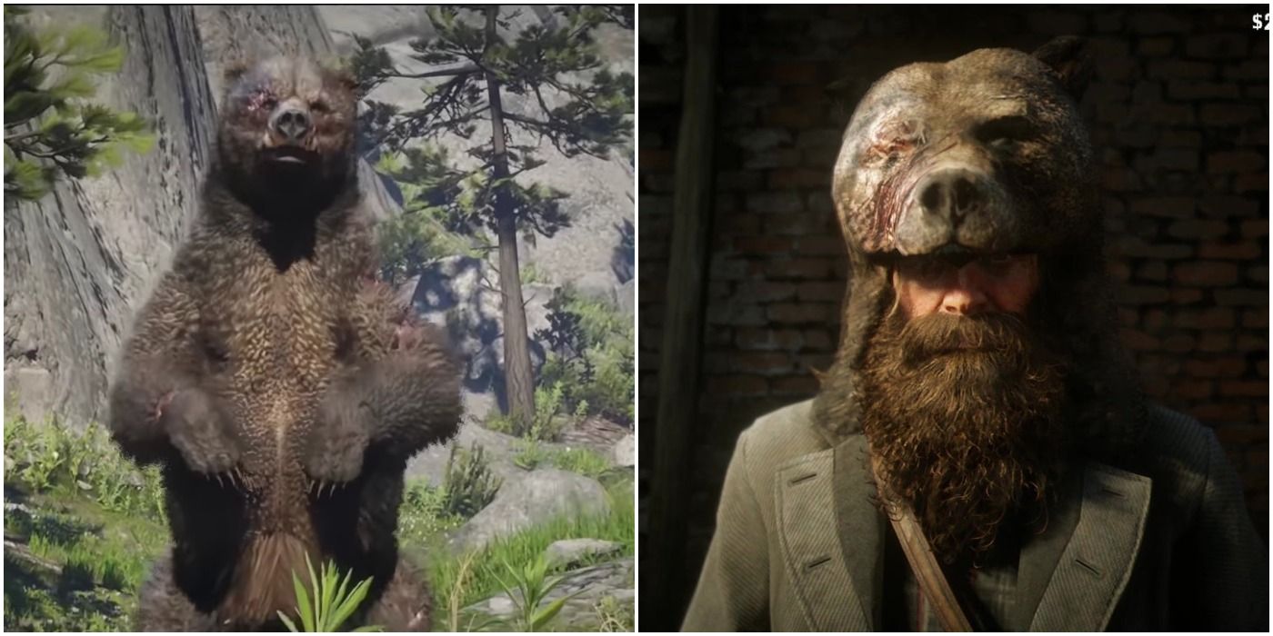 Red Dead Redemption 2 How To Get The Legendary Bear Pelt (& What You