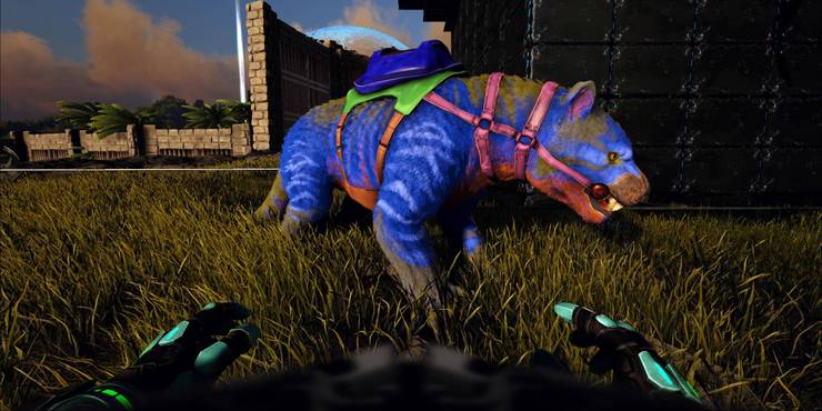 Ark Survival Evolved The Most Useful Single Player Cheat Codes Ark Survival Evolved The Most Useful Single Player Cheat Codes