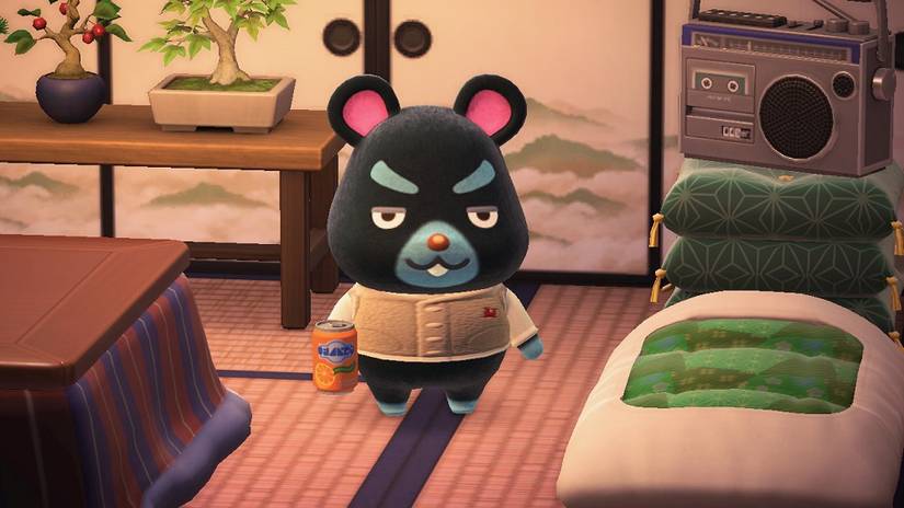 Which Animal Crossing Character Shares Your Birthday In February?