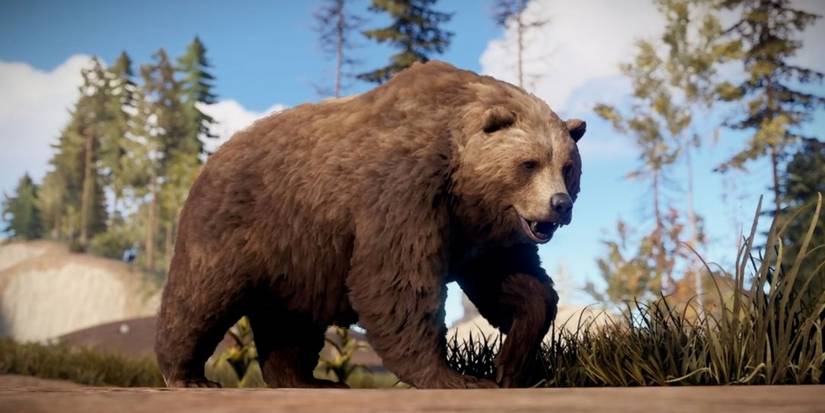 Rust Animale Rust: Every Animal Ranked By How Dangerous They Are (And What Items ...