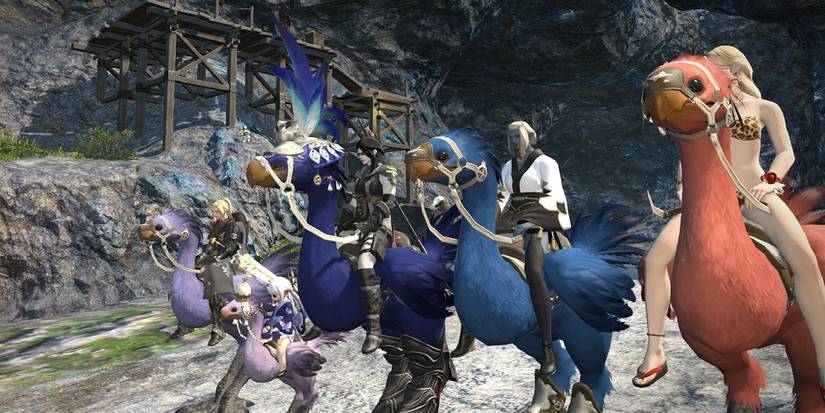 Final Fantasy 14 different chocobo colours