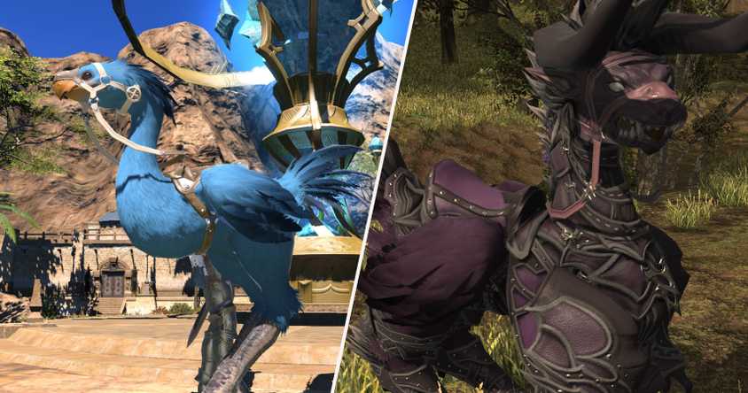 Wolf Barding How To Get Every Type Of Chocobo Barding In FFXIV