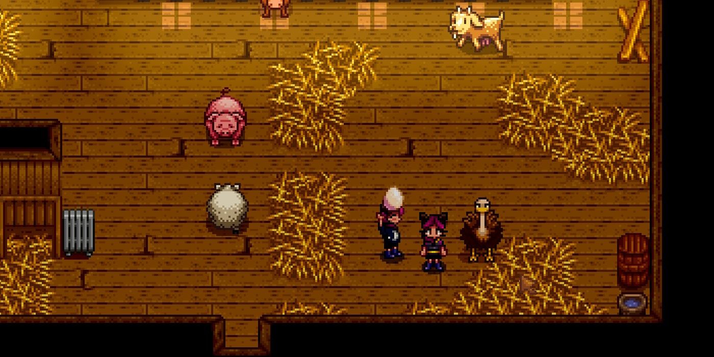 stardew-valley-everything-you-need-to-know-about-the-ostrich