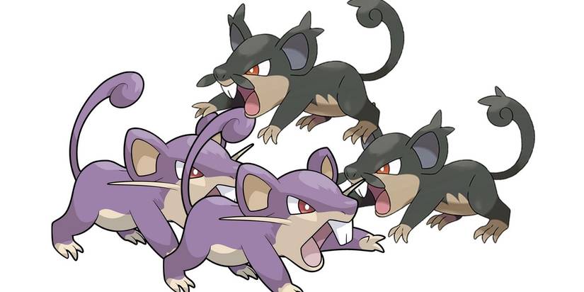 Pokemon Rastus Pokemon: 10 Wacky Team Compositions Every Pro Player Should Try At ...