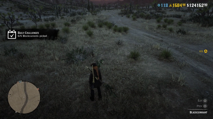Red Dead Online: How To Farm For Blackcurrants