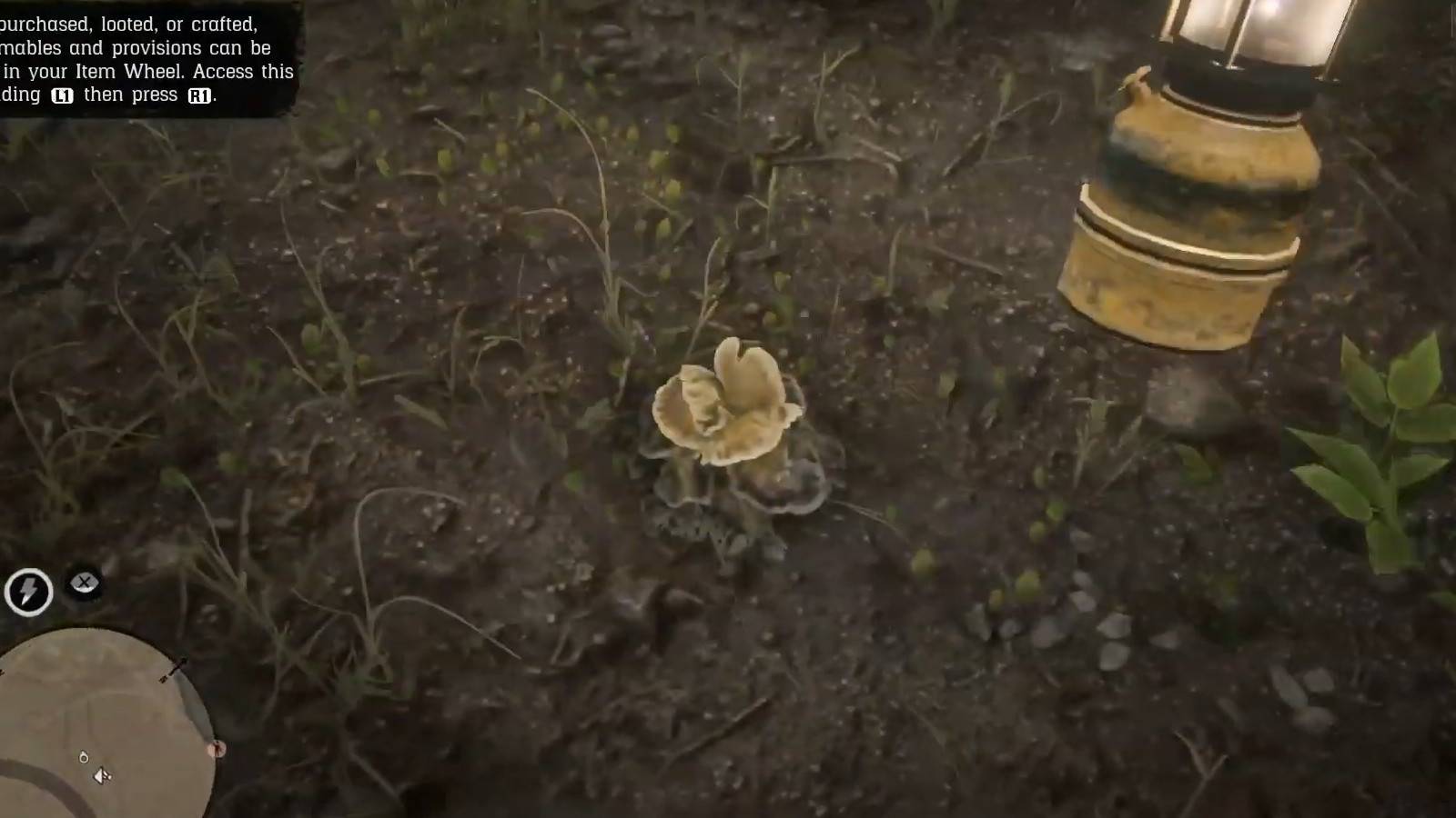 Red Dead Online - Ram's Head Locations