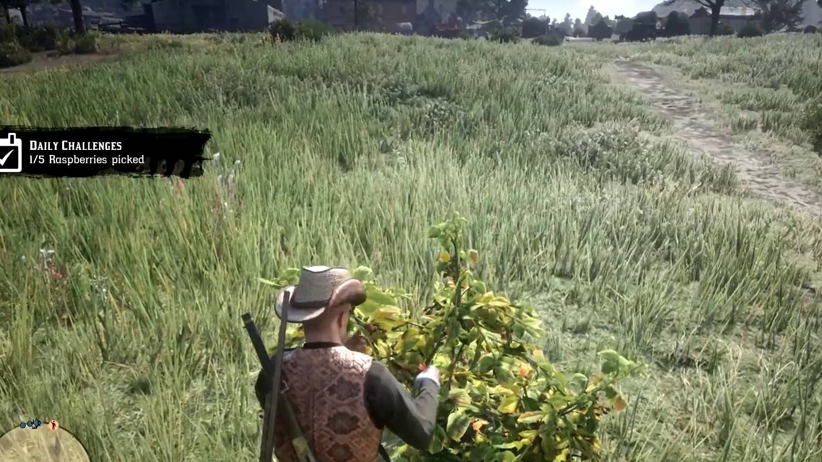 Red Dead Online - How To Find And Farm Raspberries
