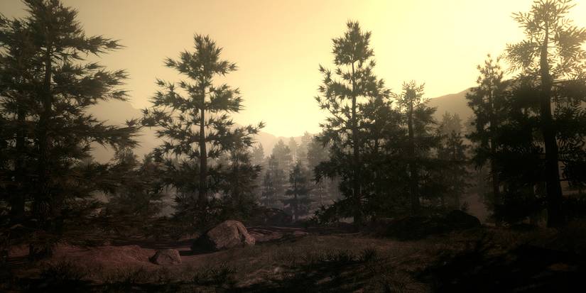 Forsty Rust Rust: Every Biome, Ranked (And What Resources To Find There)