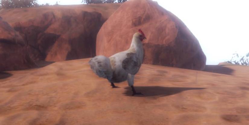 Rust: Every Animal Ranked By How Dangerous They Are (And What Items ...