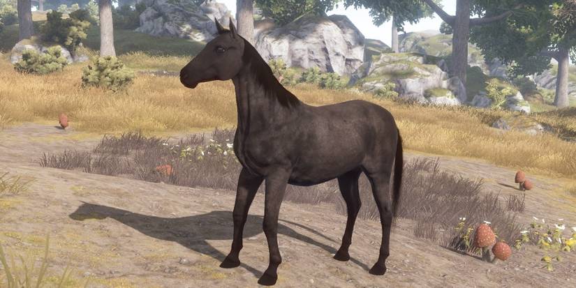 Horsey Rust Rust: Every Animal Ranked By How Dangerous They Are (And What Items ...
