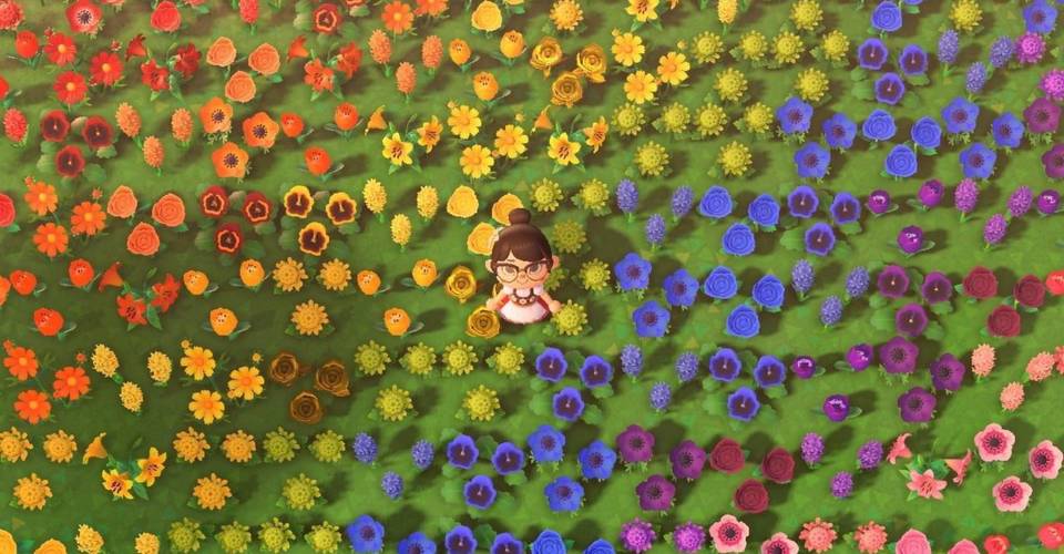 Animal Crossing New Horizon S Flower Genetic Guide For Breeding Hybrids Supportsmallstreamers