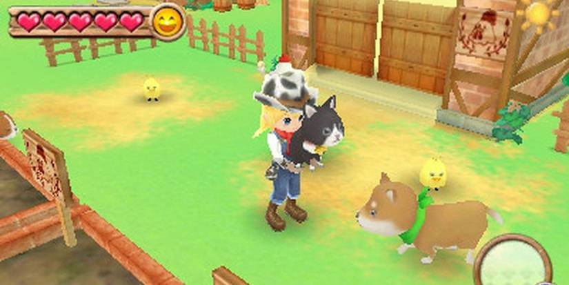 Best Simulation Games On Nintendo 3DS