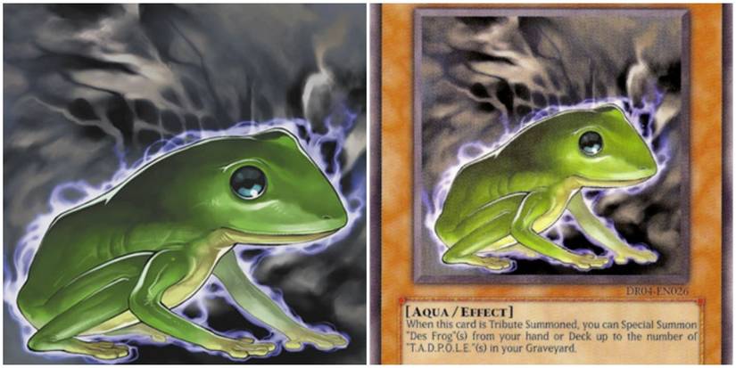 Yu-Gi-Oh! The 10 Best "Frog" Cards, Ranked Yu-Gi-Oh! The 10 Best "Frog" Cards, Ranked