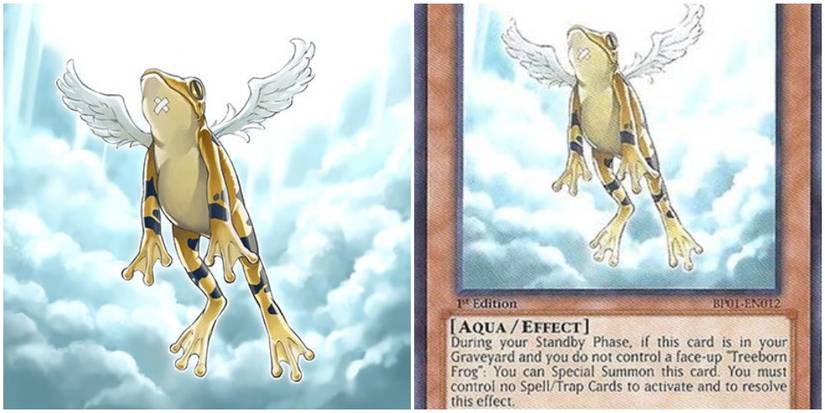 Yu-Gi-Oh! The 10 Best "Frog" Cards, Ranked