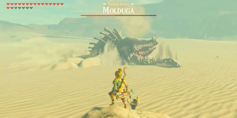 Molduga Locations And How To Beat Them In The Legend Of Zelda Tears Of molduga-locations-and-how-to-beat-them-in-the-legend-of-zelda-tears-of