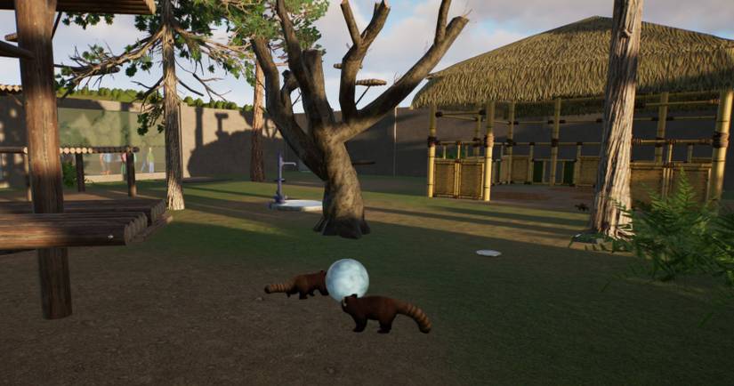 Planet Zoo: The Best Animals To Get First
