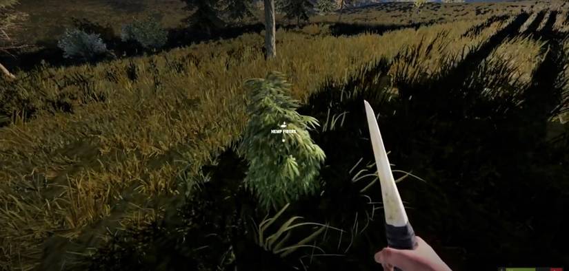 10 Things You Should Do As A New Rust Player