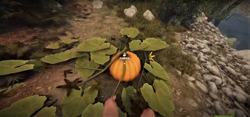 10 Things You Should Do As A New Rust Player