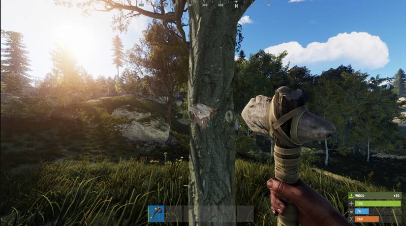Handle Rust Tree 10 Things You Should Do As A New Rust Player