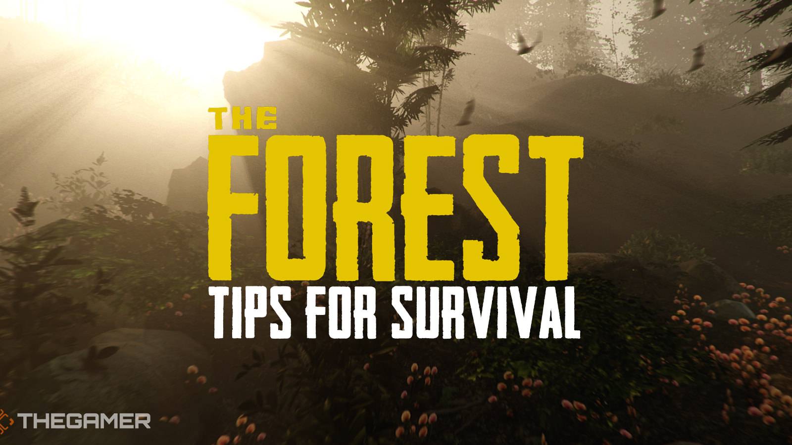 Forest Guide The Forest: Beginner Tips For Survival