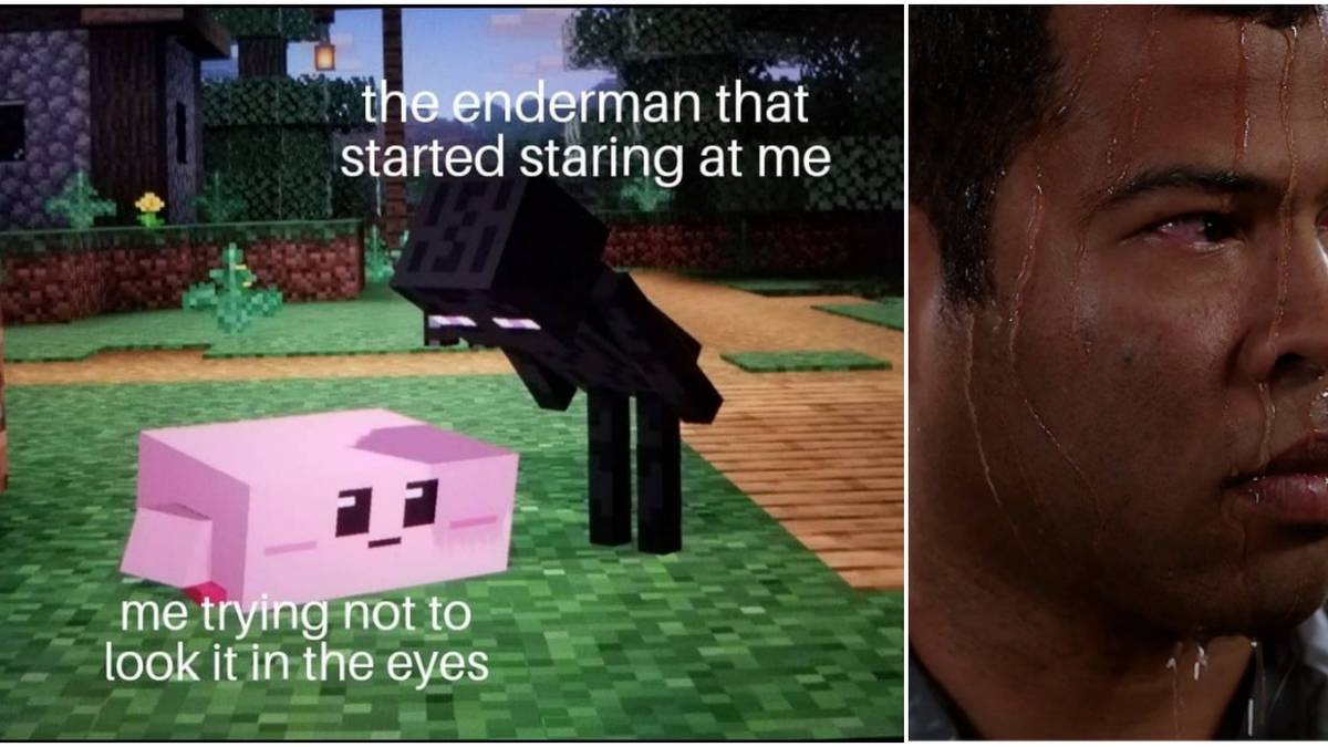 Minecraft: 10 Enderman Memes That Are Hilariously Funny