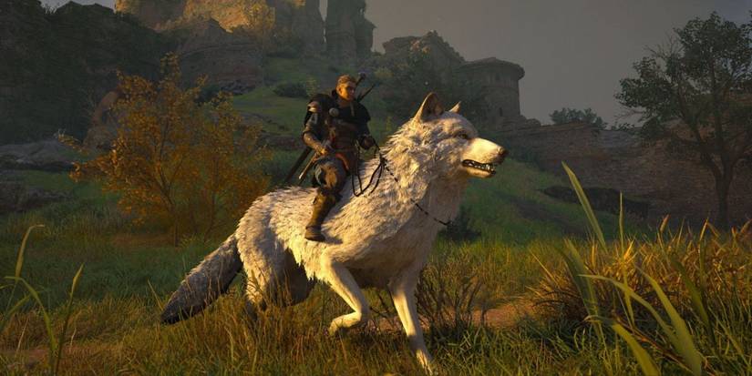 Assassin’s Creed Valhalla: All Of The Animals Who Can Join You On Your ...