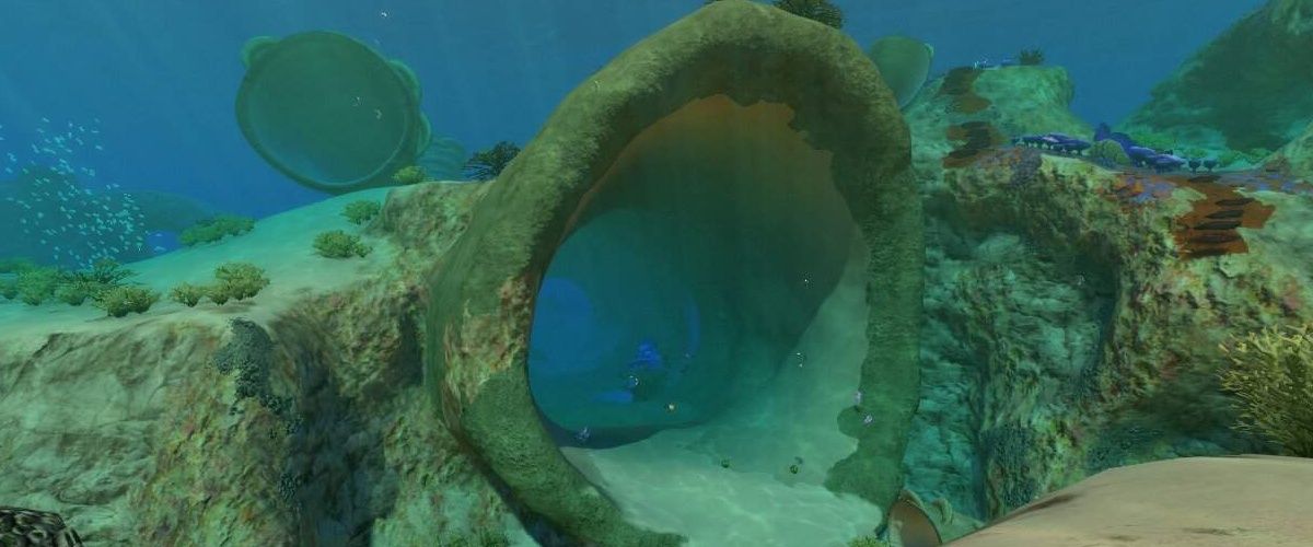 Subnautica A Complete Guide To Corals