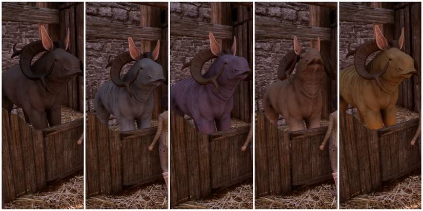 Dragon Age: Inquisition How To Complete The Big One Quest