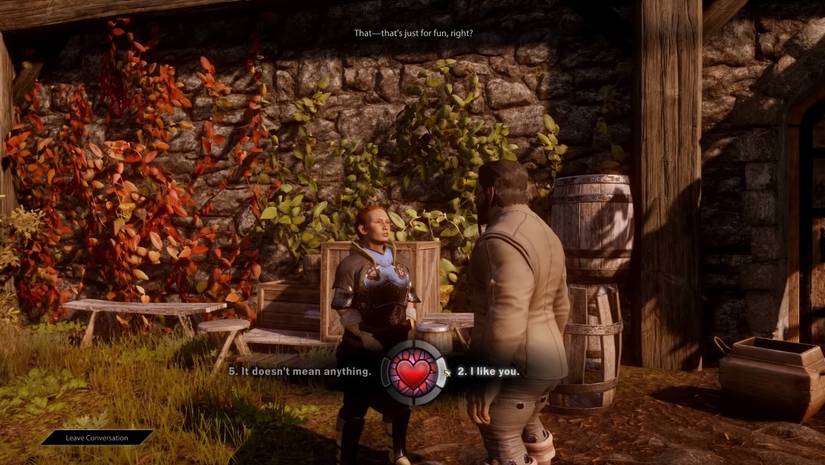 Dragon Age Inquisition: How To Romance Harding