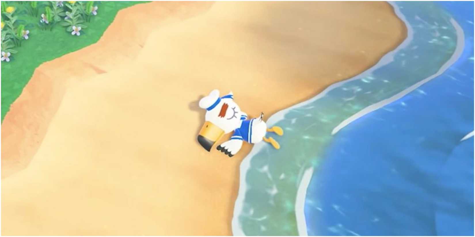 Gulliver Washed Ashore Animal Crossing New Horizons.