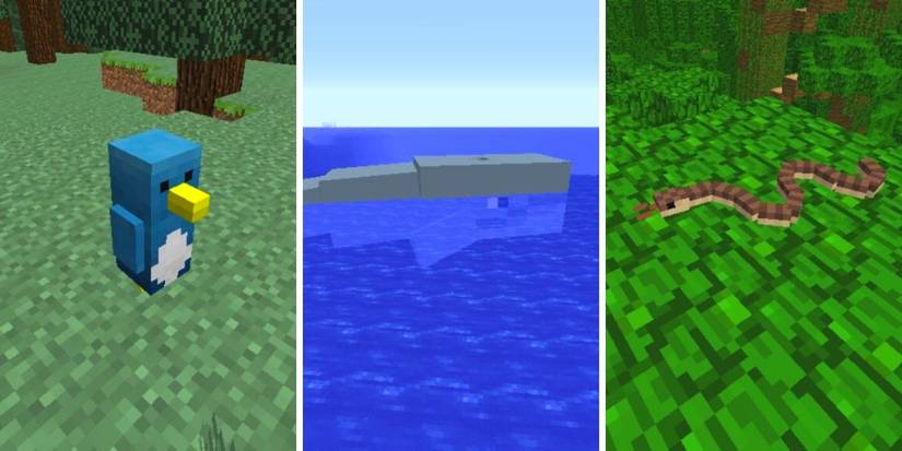 Minecraft: Everything You Need To Know About The Life In The Woods ...