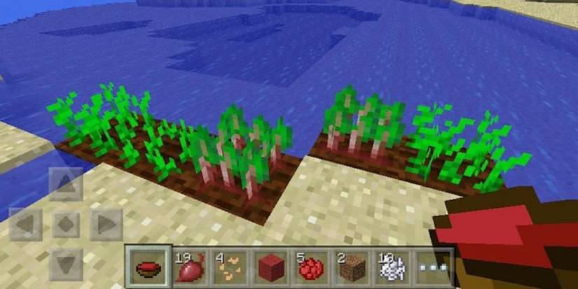 Minecraft beetroot crops and beetroot soup