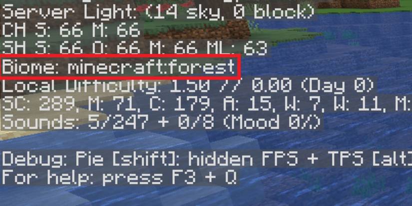 Minecraft Debug Worldtype What Is The Debug Screen Useful For In Minecraft?