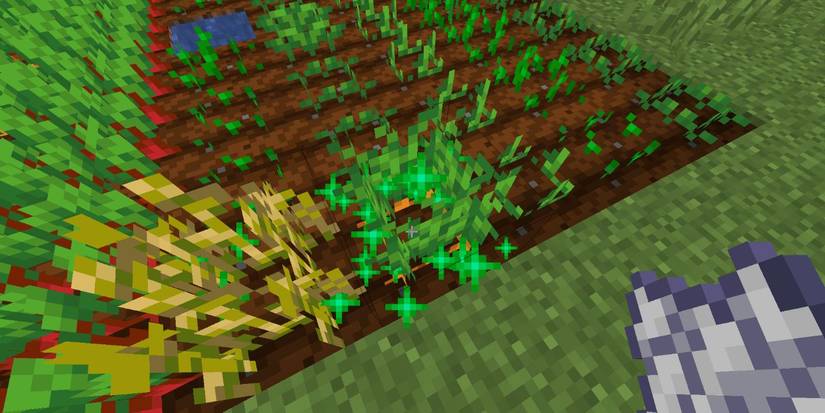 Minecraft: Everything You Need To Know About Growing Crops