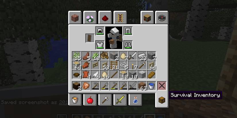Reasons My Inventory Is Always Full