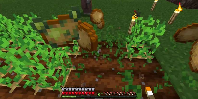 Minecraft player harvesting raw and poisonous potatoes
