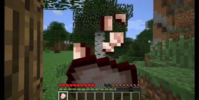 Minecraft raw chicken being eaten by player