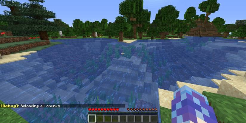 What Is The Debug Screen Useful For In Minecraft?