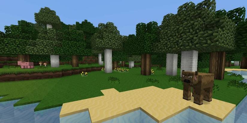 Minecraft: 10 Best Texture Packs For Java Edition