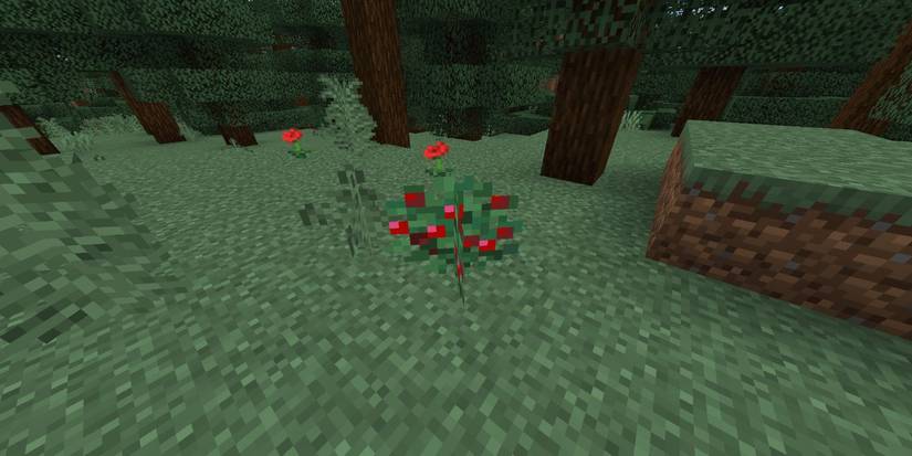 Minecraft sweet berry bush