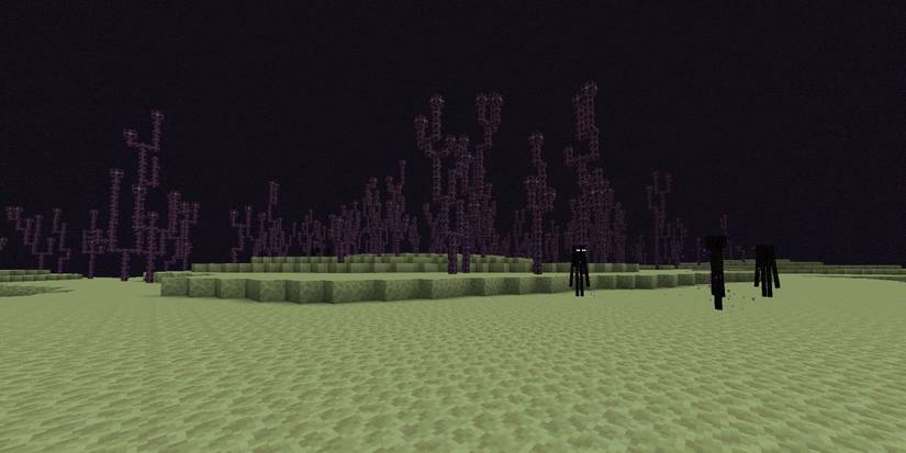 Minecraft the end large island