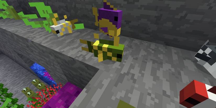 Minecraft tropical fish swimming underwater