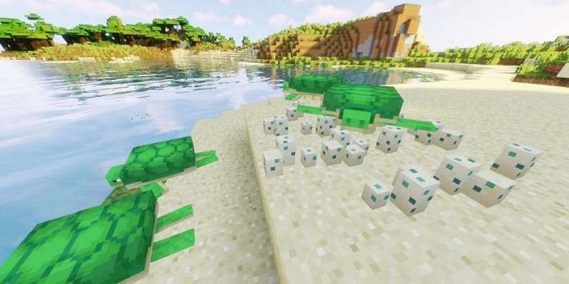 Minecraft: Everything You Need To Know About Turtles