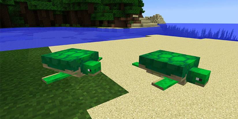Best Minecraft Biomes For Early Game Bases