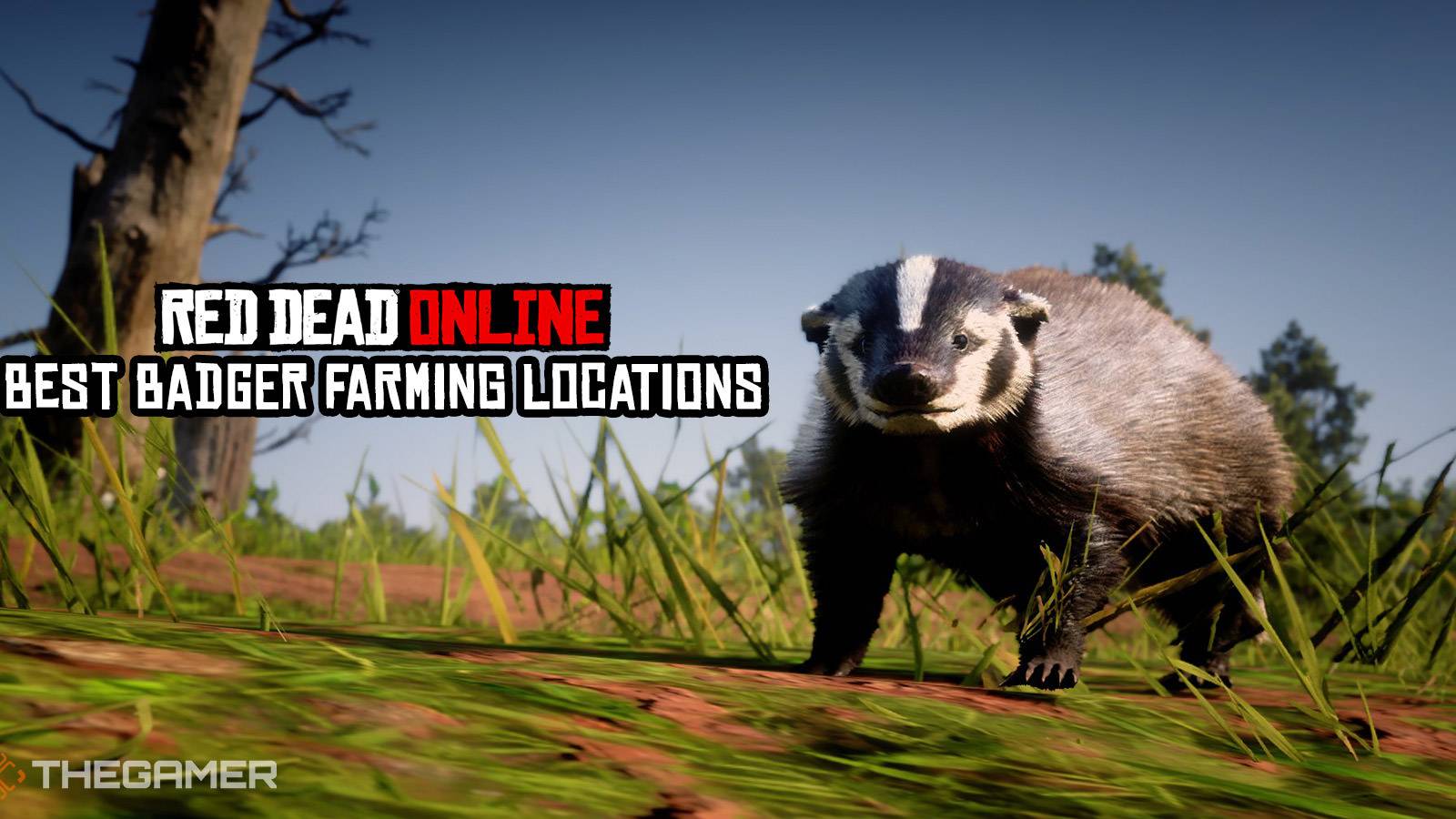 Red Dead Online: Best Badger Farming Locations