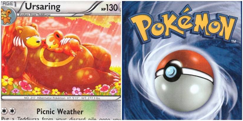 pokemon gx card box Amazon.com: Cute Pokemon Cards main image 0