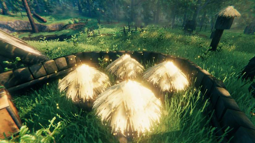 Valheim: How To Start Your Own Bee Farm